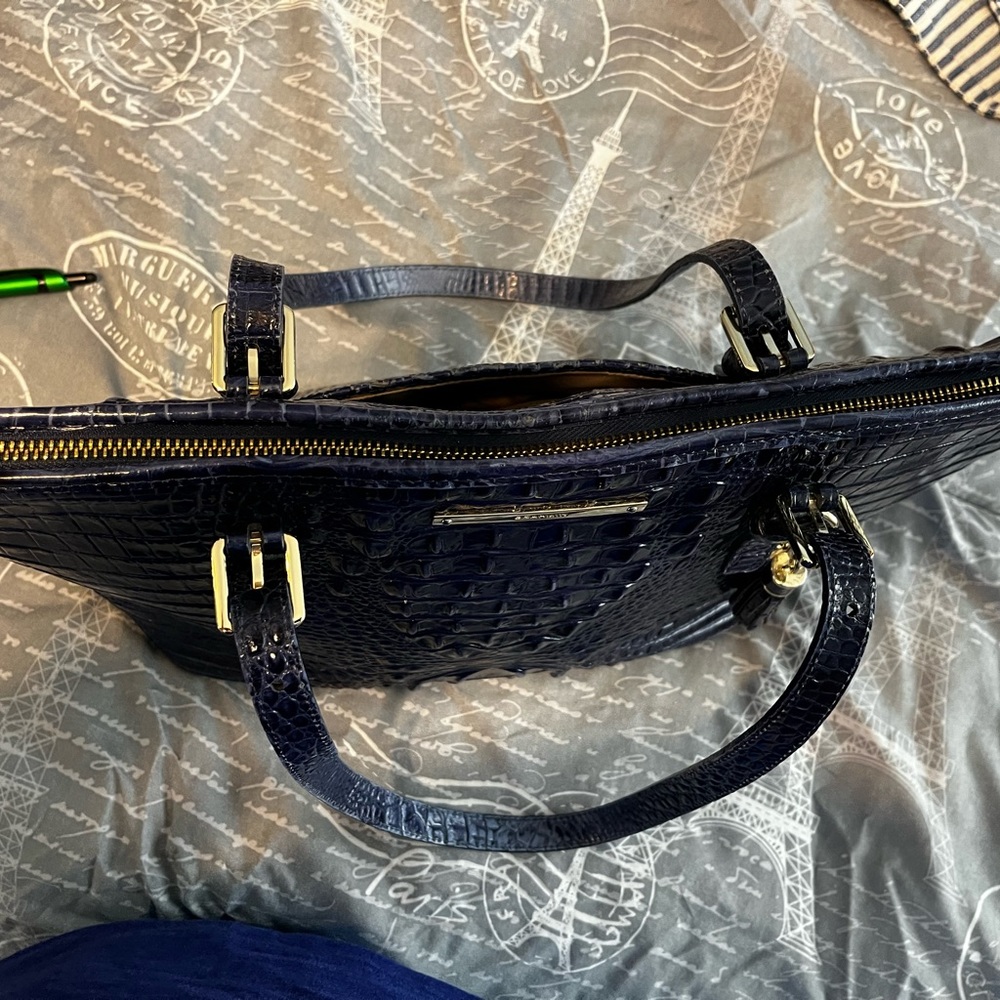 BRAHMIN MEDIUM ASHER